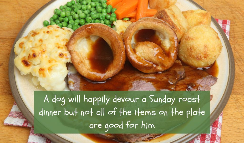 can dogs eat sunday dinner