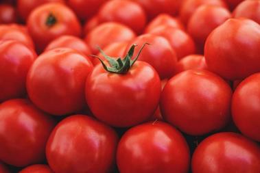 can dogs eat cucumber and tomatoes